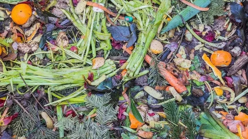 İsraf Alarmı: Çöpe Giden Gıda 1 Trilyon Doları Buldu — 3