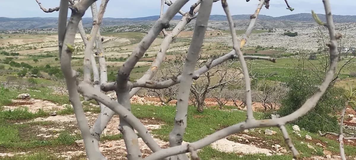 Dolu ve Sağanak Vurdu: Milletvekili Hüseyin Özhan’dan Adıyaman’a Destek Mesajı — 4