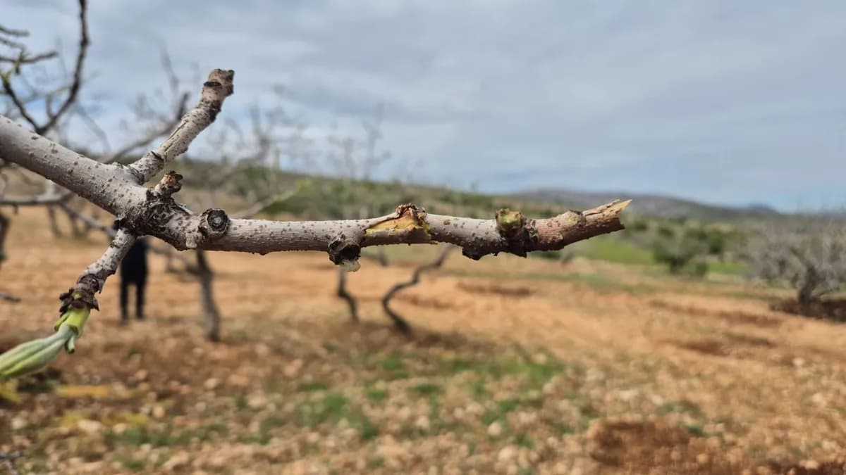 Dolu ve Sağanak Vurdu: Milletvekili Hüseyin Özhan’dan Adıyaman’a Destek Mesajı